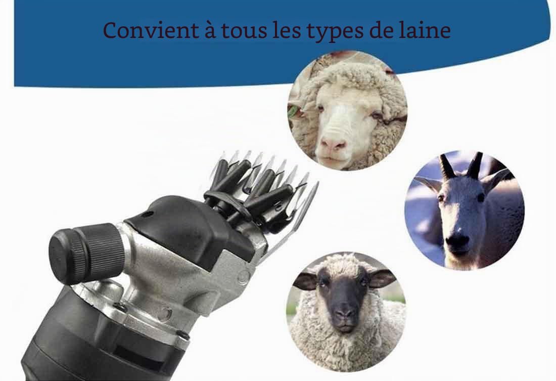 690W Tondeuse à moutons avec 6 Vitesse ajustable Machine Tondeuse Electrique Professionnelle Ciseaux à moutons chèvres lamas alpacas