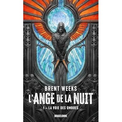 L'Ange de la Nuit, T1 : La Voie des ombres