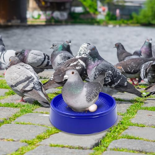 Abri de jardin pour canari protégeant des prédateurs extérieurs - 3