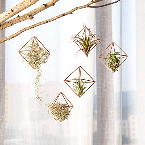 Mkono 5 Packs Air Plant Holder, Same Shape Mini Metal Tabletop Himmeli Decor Modern Geometric Planter Tillandsia Air Fern Display Stand With Each Side 2.6'' Long For Home Office Decor Gift Idea, Pink #TOP3