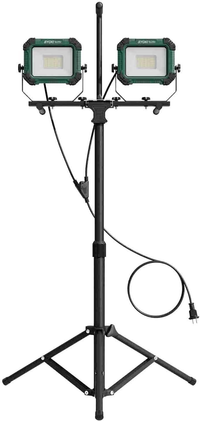 國司華子、『ゴールデン・Cat』、超希少額装用画版、新品額装付 國司華子、『ゴールデン・Cat』、超希少額装用画版、新品額装付