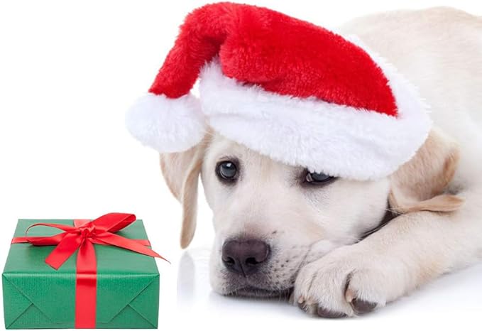 6 Pcs Gorro de Santa para Perros y Gatos, Disfraz Navideño miniatura 6