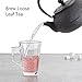 Hwagui - Japanese Cast Iron Teapot With Stainless Steel Infuser For Loose Leaf Tea And Teabags, Cast Iron Tea Kettle Stovetop Safe, 600ml/20oz