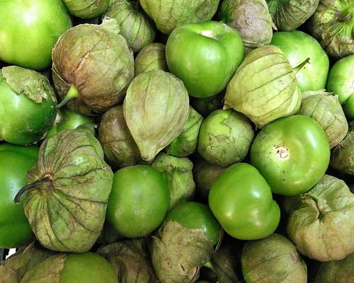 Nuevas semillas frescas de tomatillo, 100 piezas, verdes
