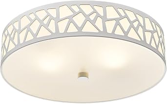 2-Light Flush Mount Ceiling Light, 12 Inch Modern Light Fixtures | Ceiling Mount with White Metal and Frosted Glass Shade for Bedroom,Hallway, Kitchen