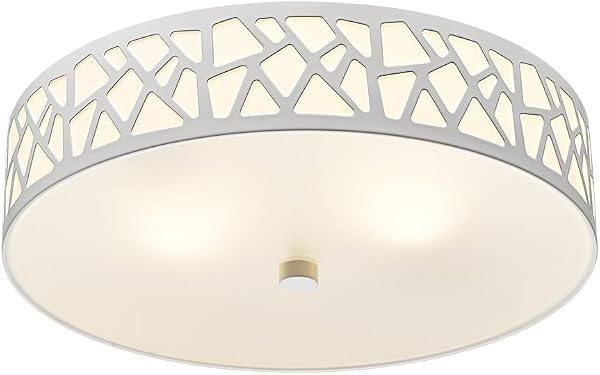 VICNIE Modern 2-Light Flush Mount Ceiling Light