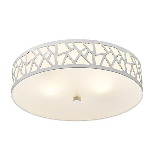 2-Light Flush Mount Ceiling Light, 12 Inch Modern Light Fixtures