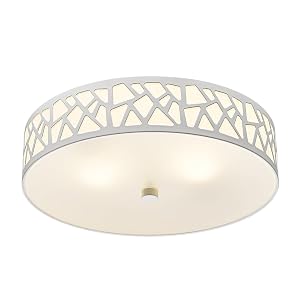 2-Light Flush Mount Ceiling Light 12 inch Modern Ceiling Light Fixture with White Metal and Frosted Glass Shade
