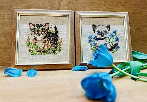 Image of RIOLIS - Bengal Kitten 2119, Cross Stitch Kits 6 inch x 6 inch, Cross Stitch Kits for Beginners & Advanced, Crossstitching Kit Adult, Embroidery Counted Stitching Kit