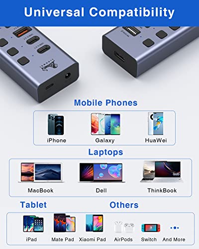 Powered Usb 3.1Hub, 10-Port Usb Data Hub Splitter With 3 Usb 3.1(10Gbps), 4 Usb 3.0, 3 Charging Ports, Individual On/Off Switches And 12V/5A Dc Power Adapter, Usb C Hub For Laptops And Computer #TOP4