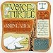 The Voice Of The Turtle