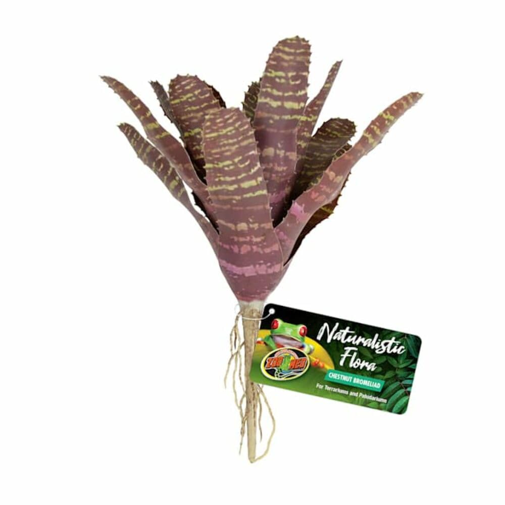 Zoo Med Naturalistic Flora Chestnut broméliad Vriesea Plante décorative fosteriana pour terrariums et marécageux, réaliste, Refuge pour Reptiles et Amphibiens, imperméable