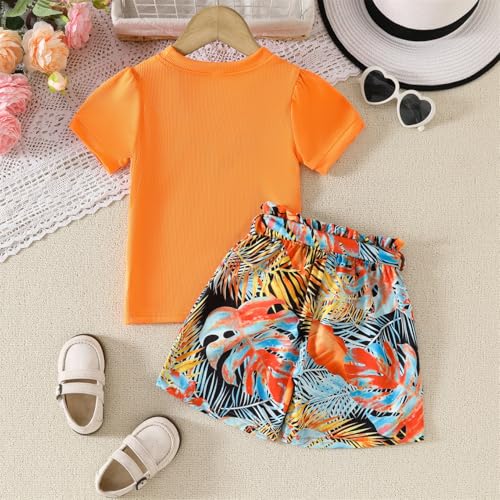 Image of Kids Girl Clothes Heart Print Short Sleeve Top and Shorts Cute Girl Summer Outfits Short Set