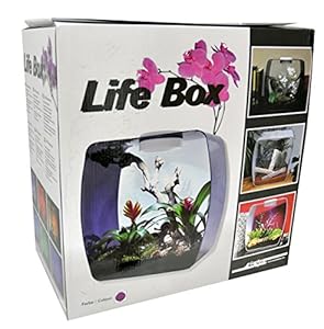 Lucky Reptile Life Box Terrarium 30x18x30 cm