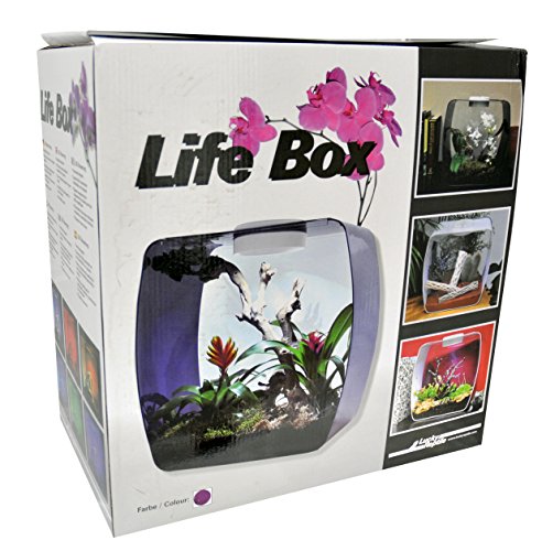 Life Box Terrarium Design en verre haut de gamme pour l'habitat - 2