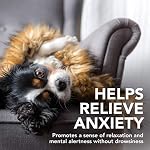 Vet's Best Comfort Calm Calming Dog Supplements - Fördert Entspannung und ausgewogenes Verhalten (60 Tabletten) – Bild 2