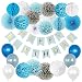 Boy Birthday Decoration Kit, 1st Birthday Boy Decorations, Happy Birthday Banner, Tissue Paper Pom Pom, Honeycomb Balls, Balloons - Blue, Gray, White