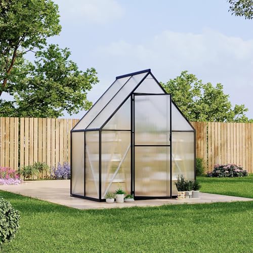 6'x4' Small Greenhouse, Walk in Green Houses for Outside and