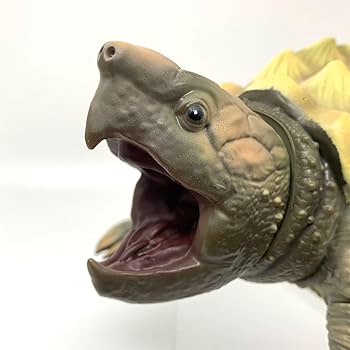 Amazon.co.jp: ワニガメ BIG ソフビ フィギュア 約26cm リアル