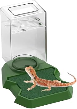 Reptile Water Dispenser with Bottle,Prevent Drowning Water Dispenser,Reptile Water Feeder with Absorbent Cotton, Feeding Accessories for Terrarium Tank, Turtle, Geckos, Lizards Green, 18x13x8cm