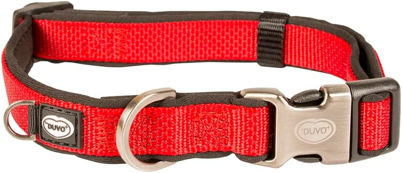 duvoplus, Ga me Explor North-Hundehalsband, komfortabel, modernes Design, Größe 30 – 45 cm/15 mm, Neongelb, Ideal für Spaziergänge und abenteuerliche Expeditionen