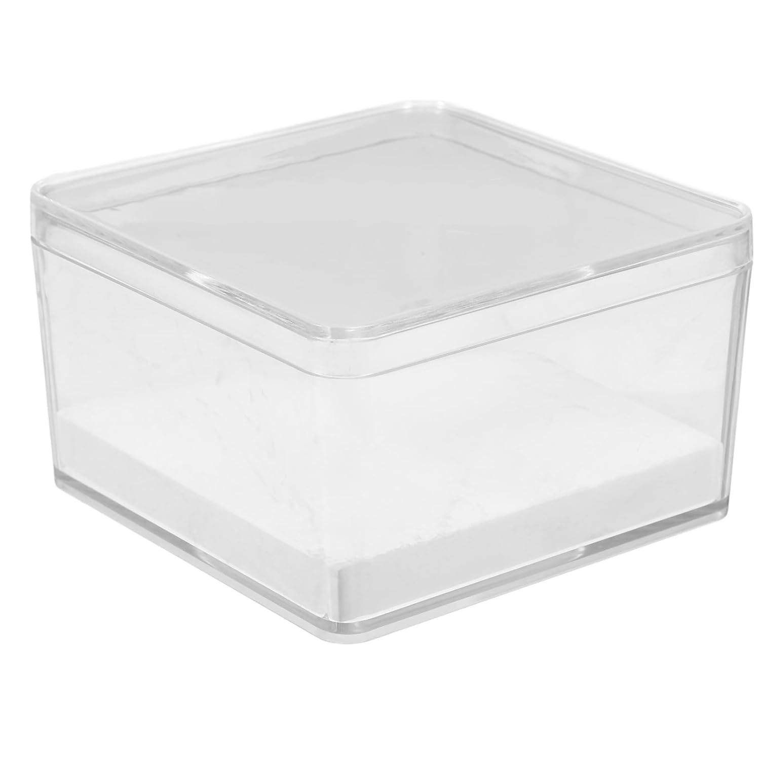 Small Insect Specimen Box Miniature Cube Display Case for Entomology Collection with Pin Insect Holder, Mini Specimen Display Container for Scientific Education and Butterfly