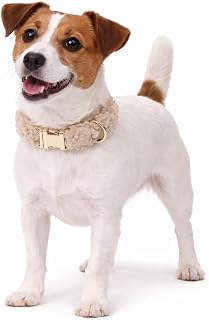 Flamingo dog collar pookie beige S 31-50cm 20mm