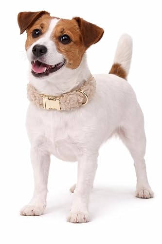 Flamingo Perro Collar Pookie Beige S 31-50cm 20mm