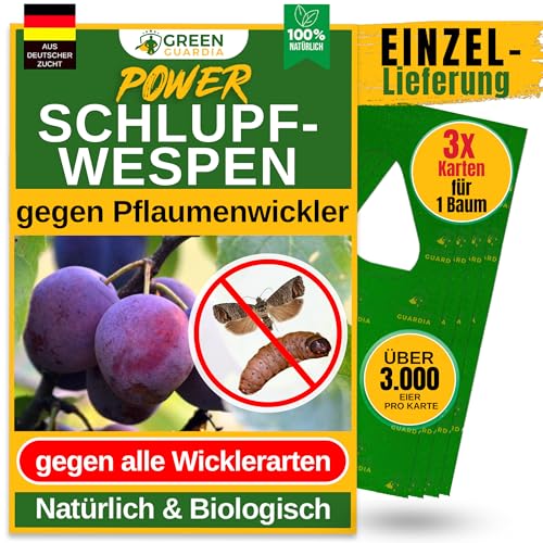GREEN GUARDIA Avispas eclosionadoras contra ciruelas – 3 tarjetas de 1 entrega, eficaz control orgánico contra rulos de manzana, alternativa a la trampa para rulos de ciruelas, pulverizadores