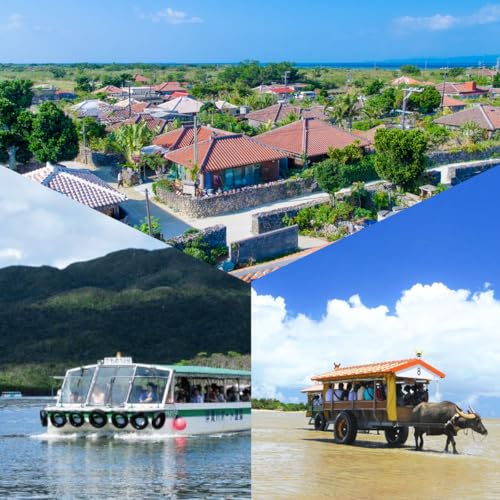 の3島めぐりツアー 西表島・由布島・竹富島を満喫する日帰りツアー マングローブ遊覧+水牛車+選べる竹富島での過ごし方[1日/昼食付]