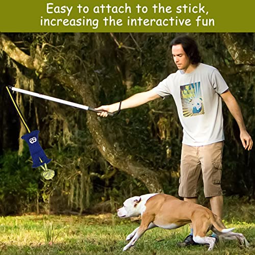 Elegx Interactive Dog Tug Toy With Bungee Rope,Squeaky Dog Toys,Dog Toy For Aggressive Chewers,Dog Bungee Chaser Toys Add Fun,Dog Teeth Cleaning Toy For Small Medium Large Breed #TOP4