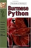burmese cat rescue  Burmese Pythons