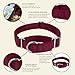 Country Brook Petz - Martingale Dog Collar - Heavy-Duty Training Collar with No Buckle - Service Dog Collar for All Pups - 20 Vibrant Colors (Burgundy, 3/8 Inch, 2XS)