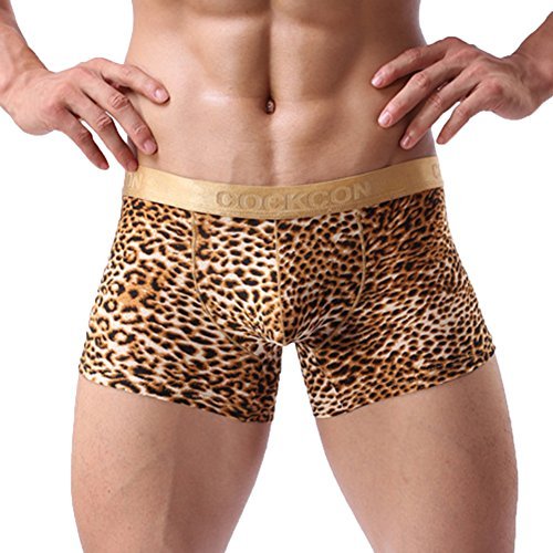 sandbankMen’s Sexy Leopard Print Low Rise Nylon Briefs Underwear Underpants