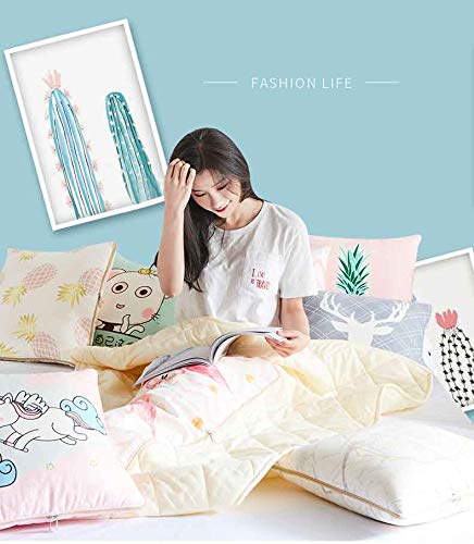 Amazon｜ライドザウェーブ カスタム 毛布 シングル ダブル グレー