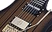 Schecter Synyster Gates Custom-S Electric Guitar - Satin Gold Burst