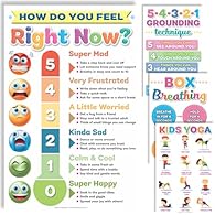 Set Includes 4 colorful and inspirational posters; A powerful tool in the teacher toolbox to help children learn about their feelings and develop coping skills for kids using zones of regulation