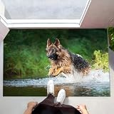 Alfombra Lavable – Fácil De Limpiar y Duradera: Felpudo Lavable En Lavadora Que Atrapa Eficazmente Pelo De Mascotas, Polvo y Suciedad. Se Puede Sacudir, Aspirar o Lavar En Ciclo Suave, Manteniendo Forma y Color Tras Numerosos Lavados. Una Alfombra Antideslizante y Absorbente Que Combina Higiene, Resistencia y Practicidad Diaria