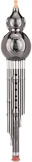Hulusi, Resin Cucurbit Instrument, C Key Professional Playing Instrument, Drop-Proof and Durable, Bright Sound, Very Suitable for Beginners, Students, Adults (Silver C Key)
