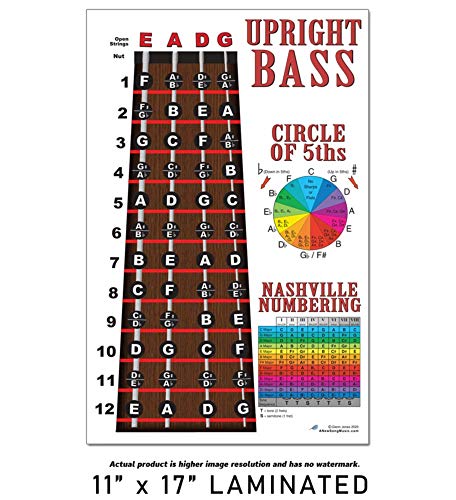 image for A New Song Music Laminated Upright Bass Fingerboard Instructional 11x1