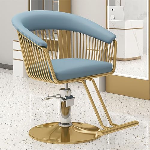Adjustable Hydraulic Salon Chair with Foot Rest - Professional Hairdressing &amp; Beauty Styling Chair for Salons, Spas, and Barbershops
