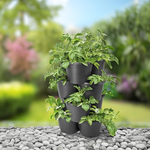 Spetebo Kartoffel und Tomaten Anzucht Pflanzturm 65 x 42 cm - 4er Set - Kunststoff Säulentopf in anthrazit stapelbar - Garten Deko Blumensäule Kräuterbeet Blumentopf Kartoffelturm