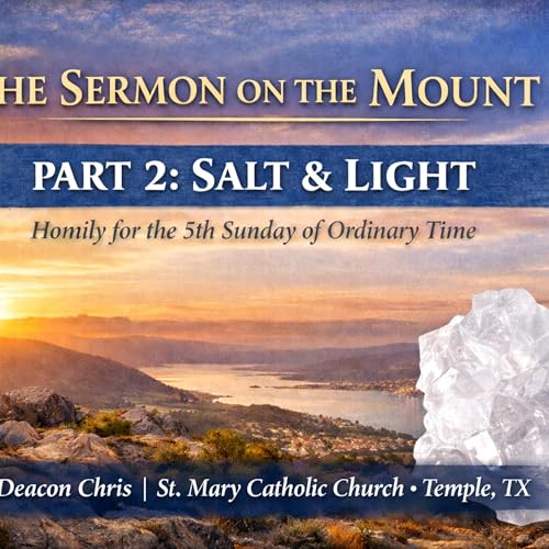 The Sermon on the Mount | Part 2: Salt & Light | Homily for the 5th Sunday of Ordinary Time