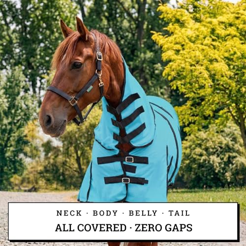 Image of Horse Fly Sheet with Attached Neck Cover & Tail Flap | UV Protection Mesh Horse Blanket, Full Body Bug & Sun Shield, Buckles, Belly Wrap & Gussets for Spring Summer Riding Rug (Turquoise, 82 inch)