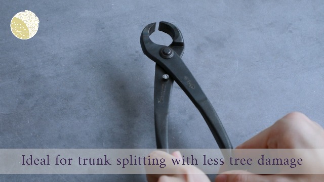 Amazon.com: Wazakura Hand Forged Bonsai Tree Trunk Splitter, Made