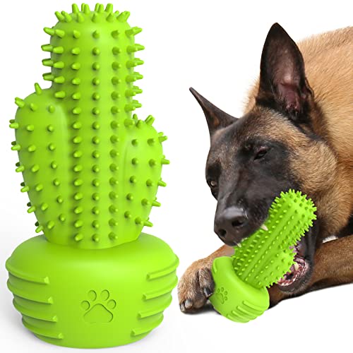 Image of Pamlulu Dog Chew Toys & Teeth Cleaning Brush - Dental for Small, Medium & Large Dogs, Rubber Squeaky Toys for Aggressive Chewers, Cactus Tough Toys