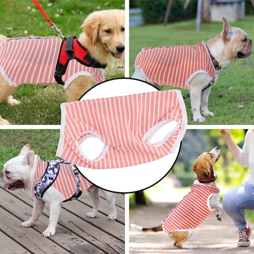 Dokeno Hundebody Nach Op - Anti-Lecken Onesie für Hunde und Katzen - Erholungsanzug Alternative zum E-Halsband (S)