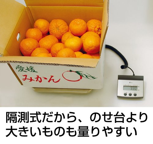 Báscula digital de medición Shinwa 100 kg miniatura 5