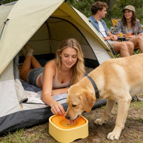 Gamelles pour chien anti-éclaboussures avec base antidérapante haute adhérence