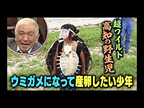 Amazon Co Jp 探偵 ナイトスクープ 年4月3日放送 を観る Prime Video